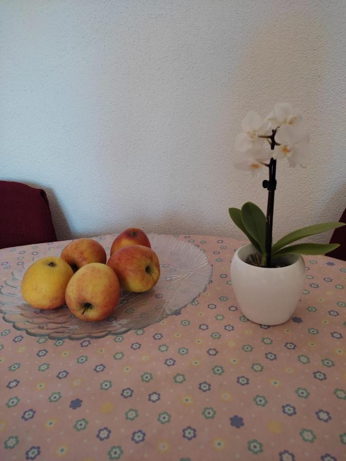 Matea Apartment